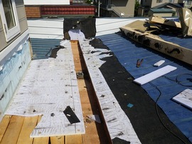 tanaka 6.27  (4).jpg