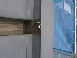 miyasita 7.21  (2).jpg