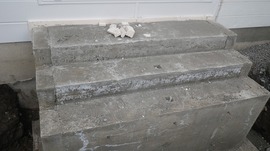 kikuta 10.10  (5).jpg