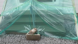 kikuta 10.17  (4).jpg