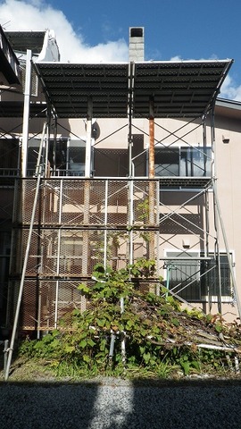 kikuta 10.25  (8).jpg