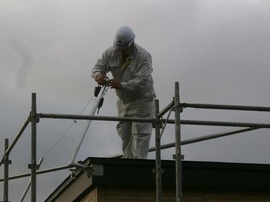 simizu 11.14  (24).jpg