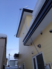 �X�m�[�J�b�g�}���H��