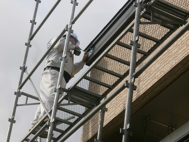 simizu 11.14  (14).jpg