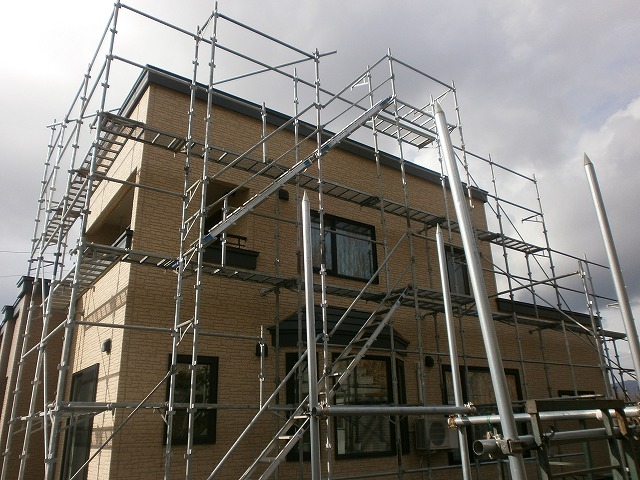 simizu 11.14  (2).jpg